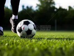 常规赛,辽宁迎战吉,赵继伟亮点,南宫28NG娱乐官网,南宫28NG娱乐官网全球信赖,南宫28NG娱乐官网在线娱乐平台,南宫28NG娱乐官网玩家首选,南宫28NG娱乐官网,南宫28NG娱乐官网游戏平台