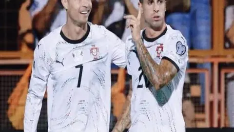 南宫娱乐 产品 084741 vbf