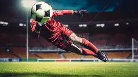 黄博凯在波兰托伦撑竿跳高赛中获得第五佳绩