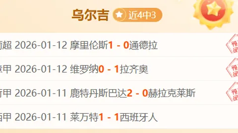 NBA球星私人飞机购置成本揭秘