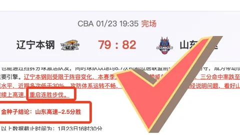 艾尔格纳主场胜率分析及专家推荐