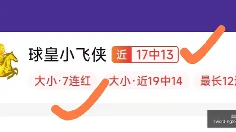 世界杯今日盛宴：绝杀单场攻略，稳中求胜