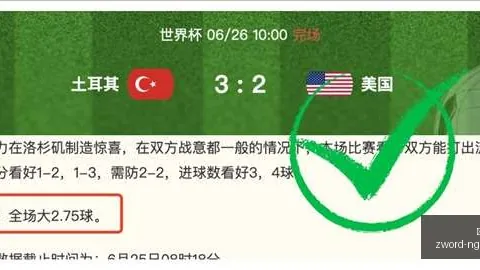 专家 维尼修斯年薪目标高达3000万，阿森纳能否负担得起真相